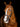 Micklem Competition Bridle Dark Havanna