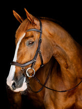 Micklem Competition Bridle Dark Havanna