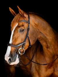 Micklem Competition Bridle Dark Havanna