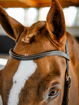 Micklem Competition Bridle Dark Havanna