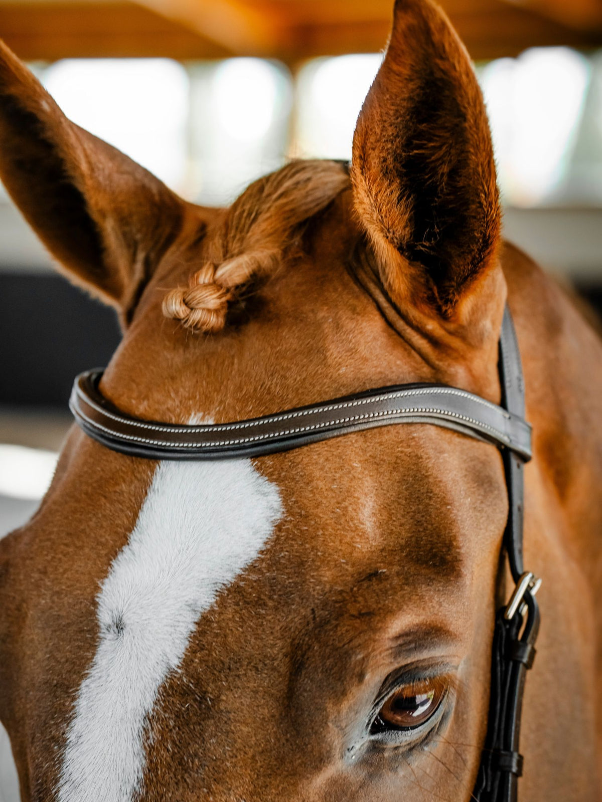 Micklem Competition Bridle Dark Havanna