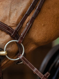 Träns Flash Noseband Signature Sport Brun